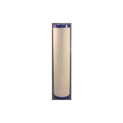 Pentek EP-20BB Drinking Water Filter