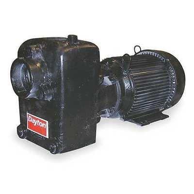 Dayton Cast Iron 5 HP Centrifugal Pump 208-230/460V, 12N812